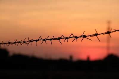 Close-up of silhouette barbed wire fence against sky during sunset