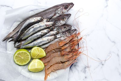 High angle view of fish on ice