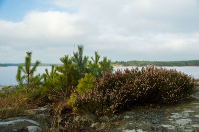 Scenic view of sea against cloudy sky