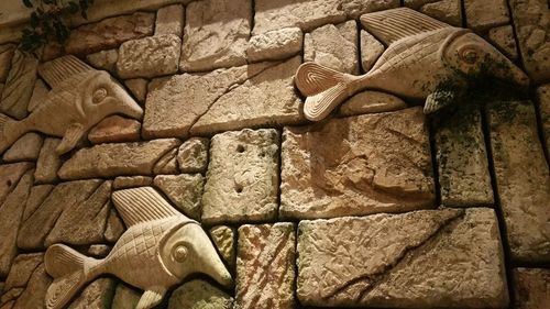 Pigeons on stone wall