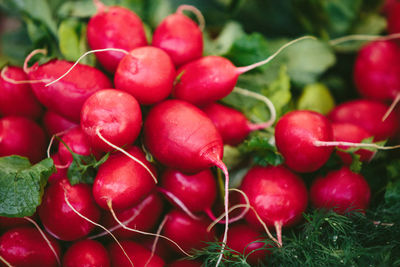 Fresh radish at farmers' market