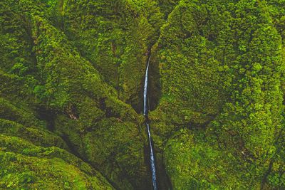 Scenic view of waterfall in sacred falls state park