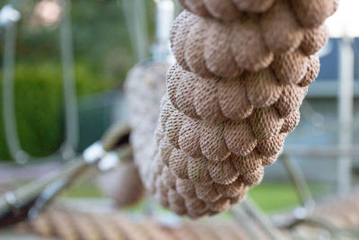 Close-up of baby outdoors