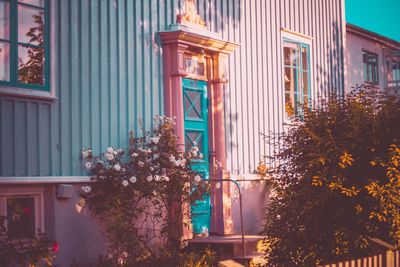 Building by trees in city