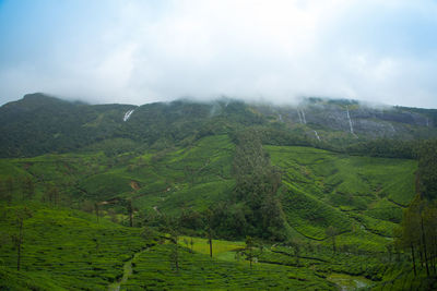 Scenic view of agricultural landscape against sky