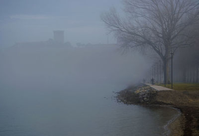 Bare tree by river against sky