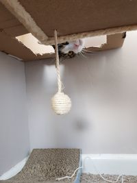 Clothes hanging on ceiling at home