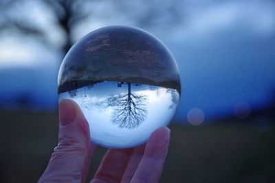 Cropped hand holding crystal ball