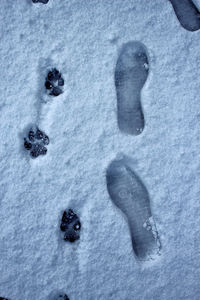 Full frame shot of snow