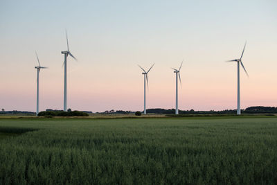 Windmills on grassy field against clear sky during sunset