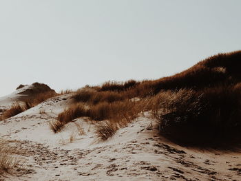 Scenic view of beach against clear sky