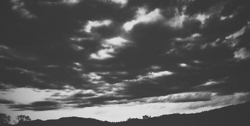 Low angle view of trees against sky