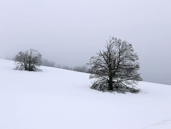 Scenic snowy mountain panorama on a leaden day