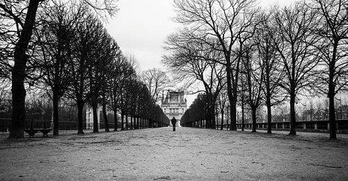 Treelined footpath in park