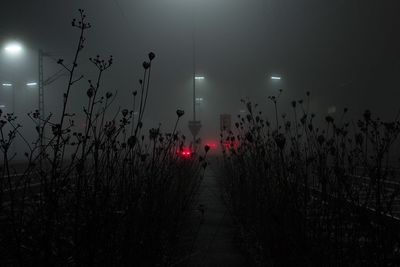 Illuminated street light at night