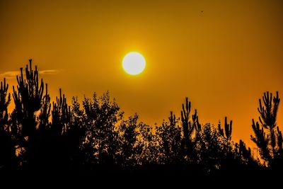 Silhouette plants against romantic sky at sunset