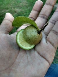 Close-up of hand holding fruit