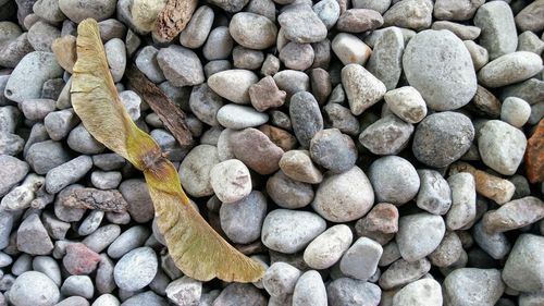 Full frame shot of pebbles