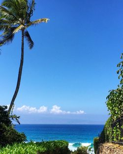 Scenic view of sea against blue sky