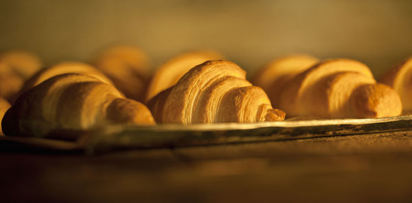 Croissants baking in oven at a bakery