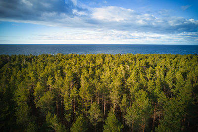 nature