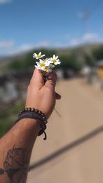 Close-up of hand holding flower