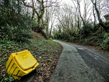 Empty road along trees