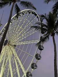 ferris wheel