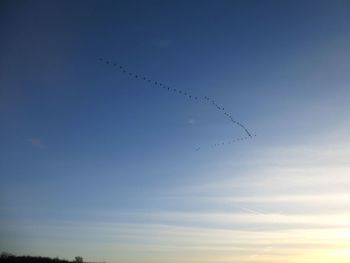 Low angle view of birds flying in sky