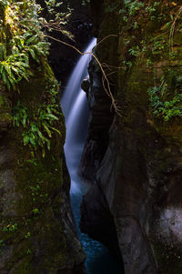 Scenic view of waterfall in forest