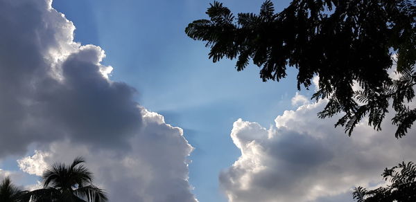 Low angle view of silhouette palm trees against sky