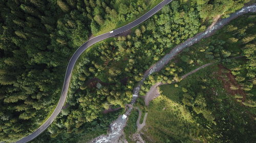 Aerial view of road amidst forest