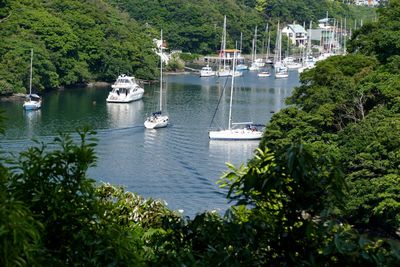 Boats moored in sea