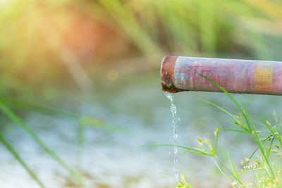 Close-up of water drop on grass