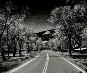 Empty road along trees