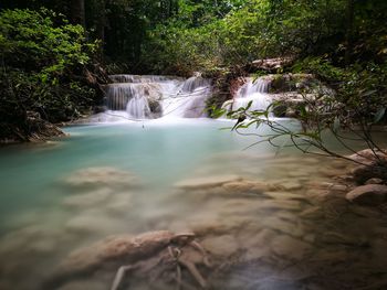 Scenic view of waterfall in forest