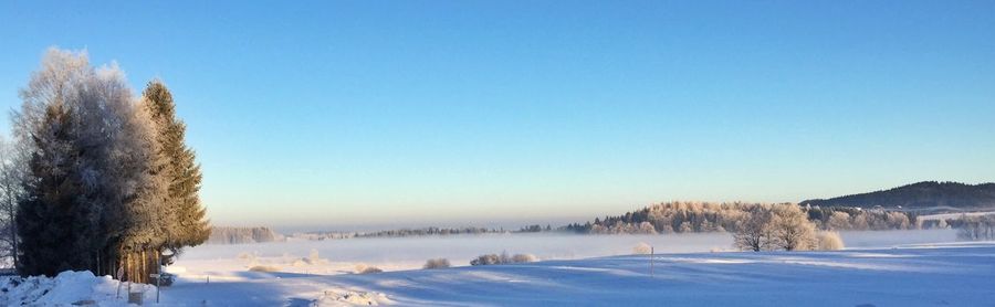 Scenic view of snow covered landscape