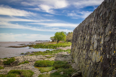 Scenic view of rocks by trees against sky