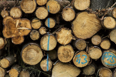 Logs stacked outdoors