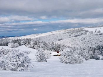 Lonely house in the mountains surrounded by forest covered in snow