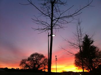 Low angle view of silhouette trees against sky during sunset