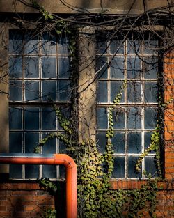 Close-up of window on building