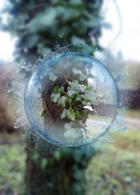 Close-up of bubbles in glass