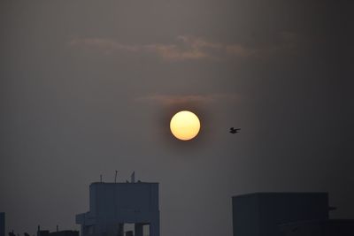 Low angle view of bird flying against sky