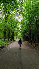 Rear view of woman walking on road amidst trees