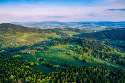 Scenic view of agricultural landscape against sky