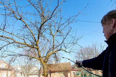 tree