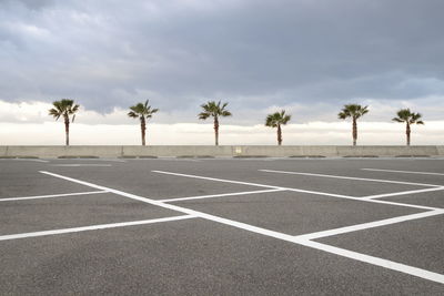 Empty road by palm trees against sky