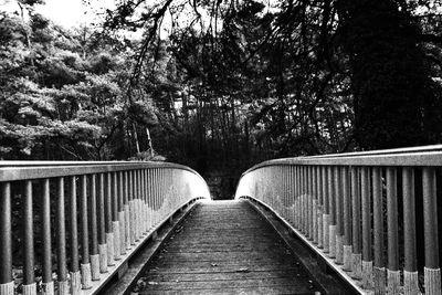 Footbridge over trees