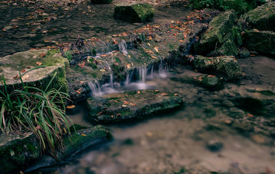 Stream flowing through rocks in forest